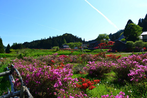 農村地域